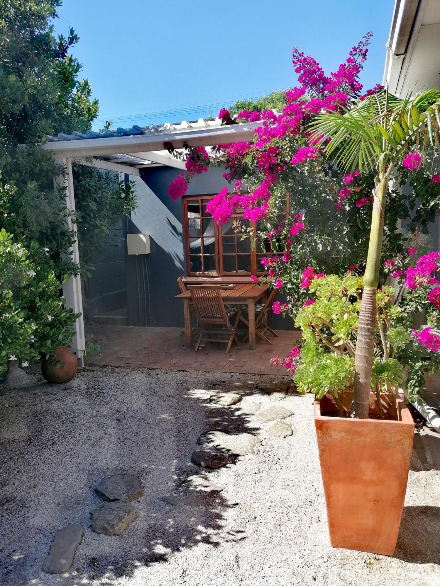 Studio with Garden View