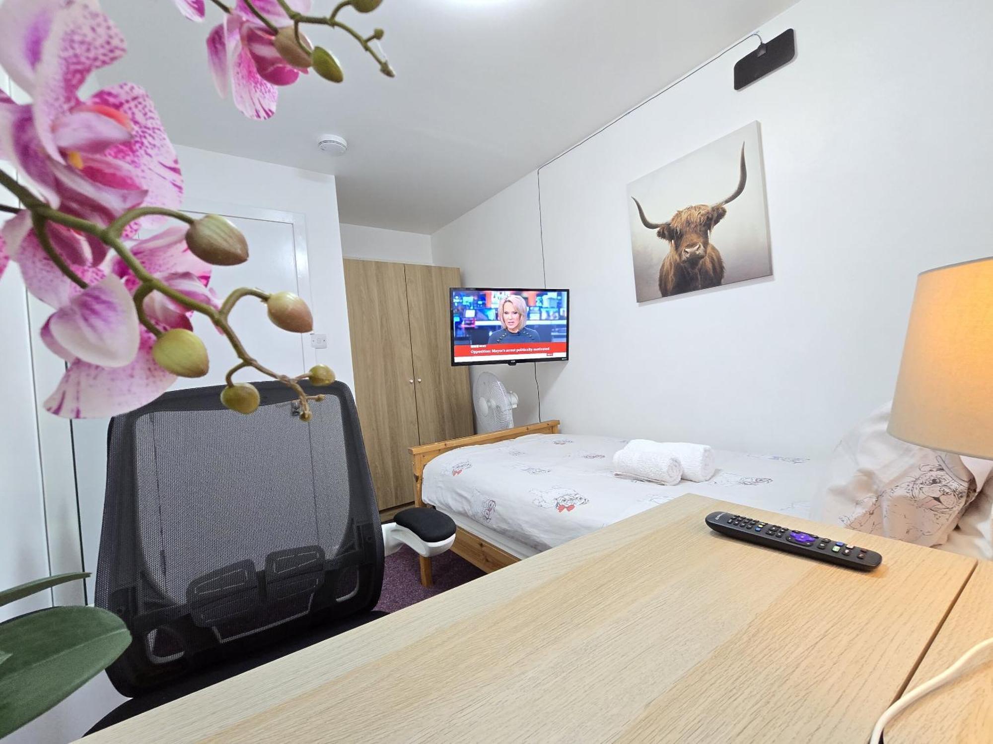 Standard Single Room with Shared Bathroom