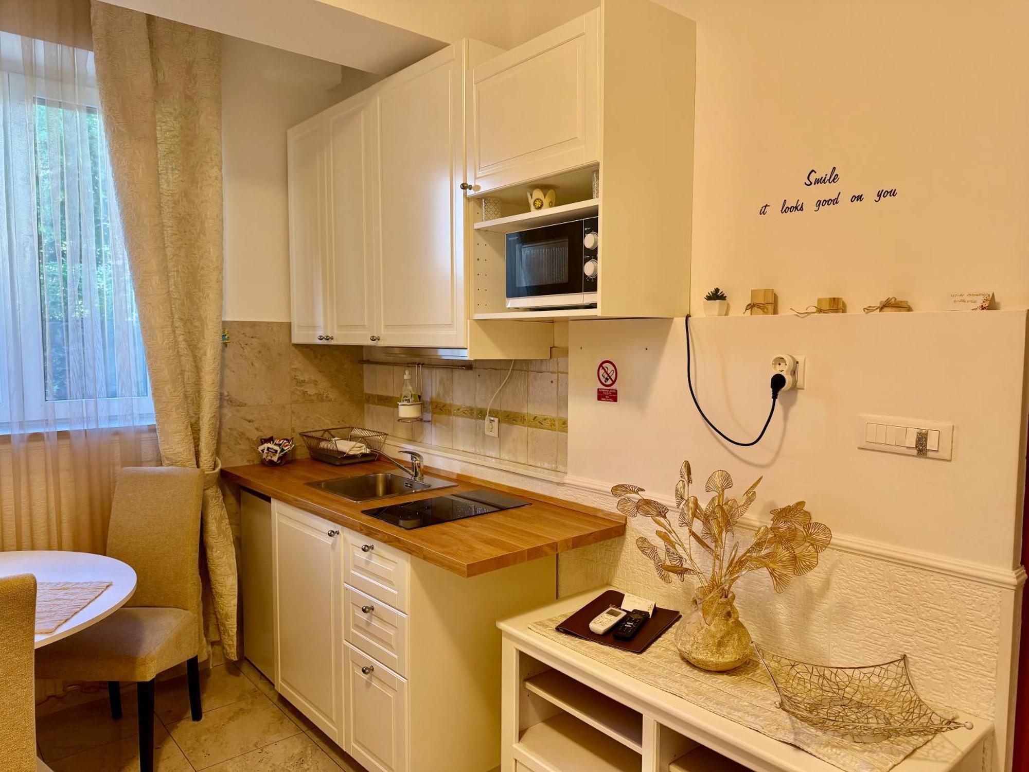 Standard One-Bedroom Apartment with Sofa Bed