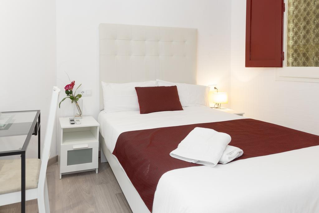 Budget Single Room