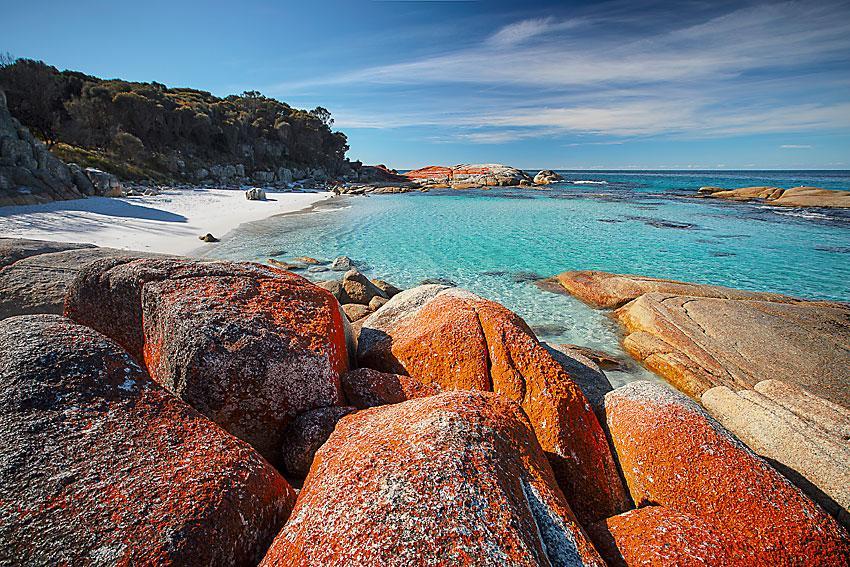 Single Room with Bathroom,642495189:JPEG