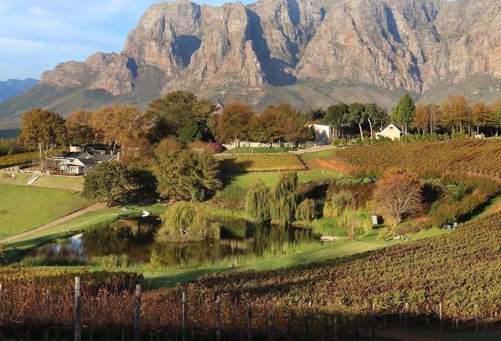 Alluvia Boutique Winery & Luxury Accommodation-1