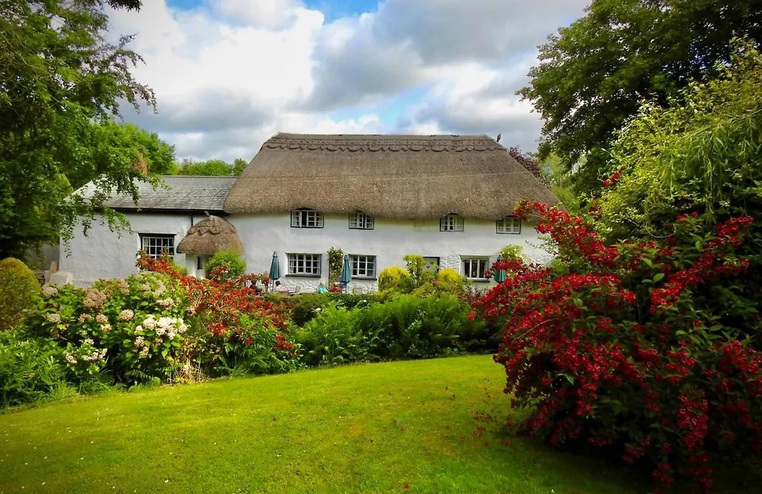 The Barn And Pinn Cottage-1