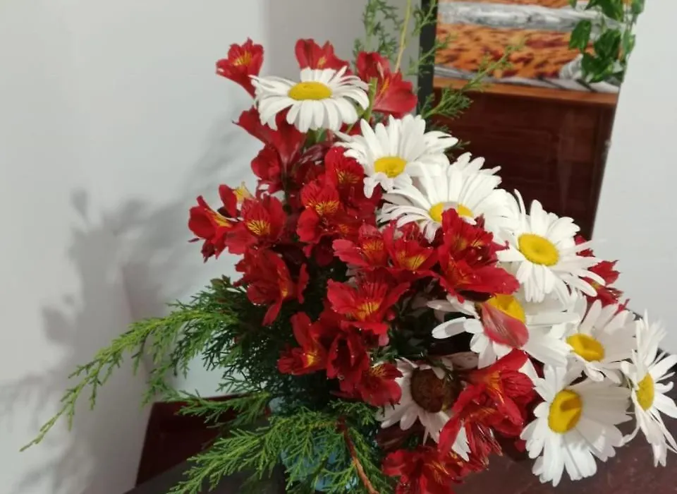 Aloka Home Stay-1