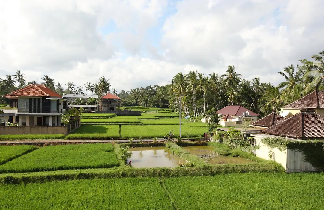 Swarapadi Villa-1