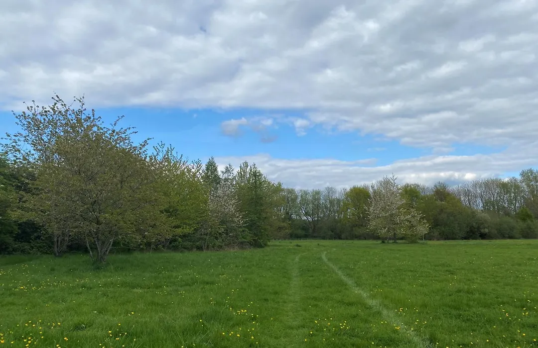 Oxford Summertown Retreat-1