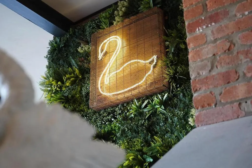 The Swan Guesthouse-1