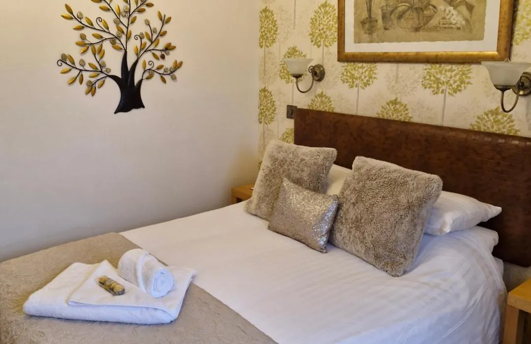 Forest Guest House-1