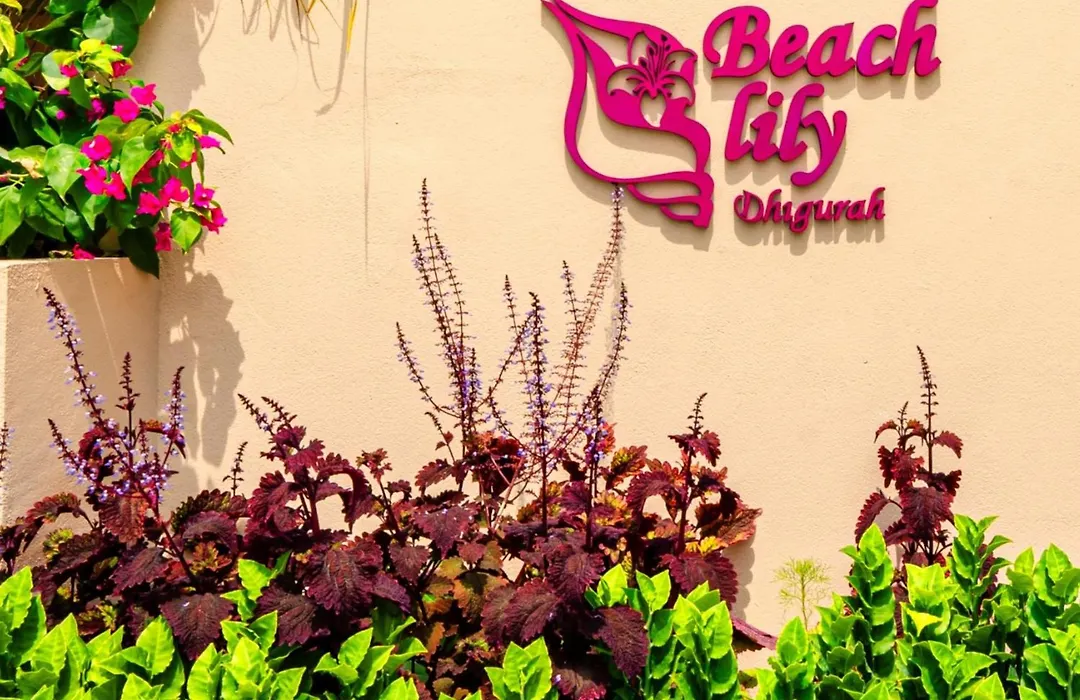 Beach Lily Dhigurah-1