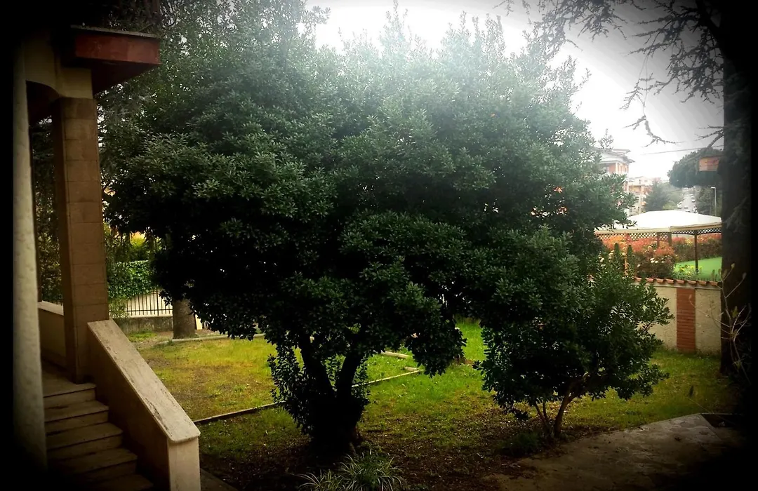 La Casa Degli Oleandri-1