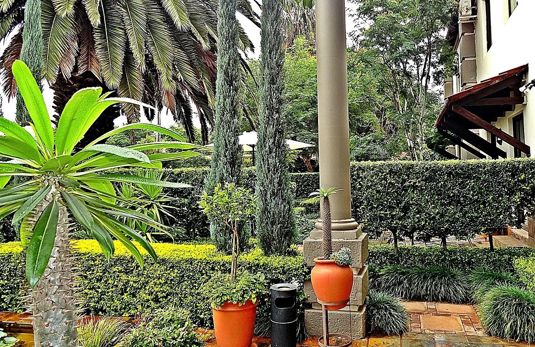 Constantia Manor Guest House-1