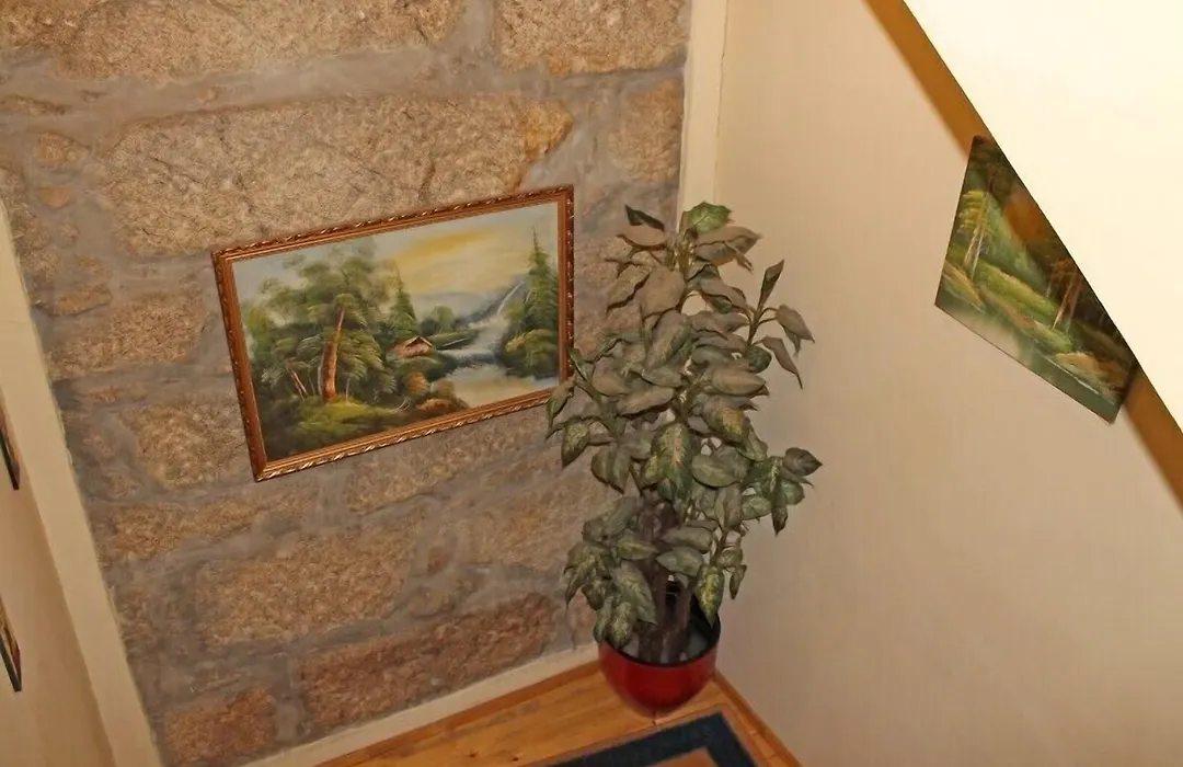 Guest House Estrela-1