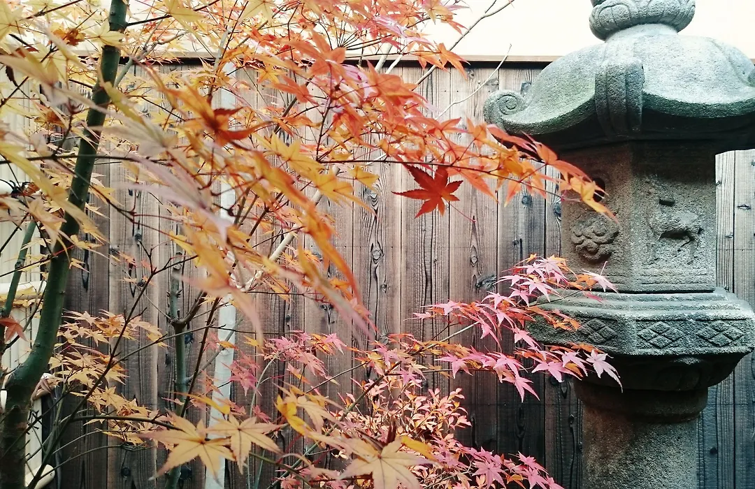 Guest House Bokuyado-1