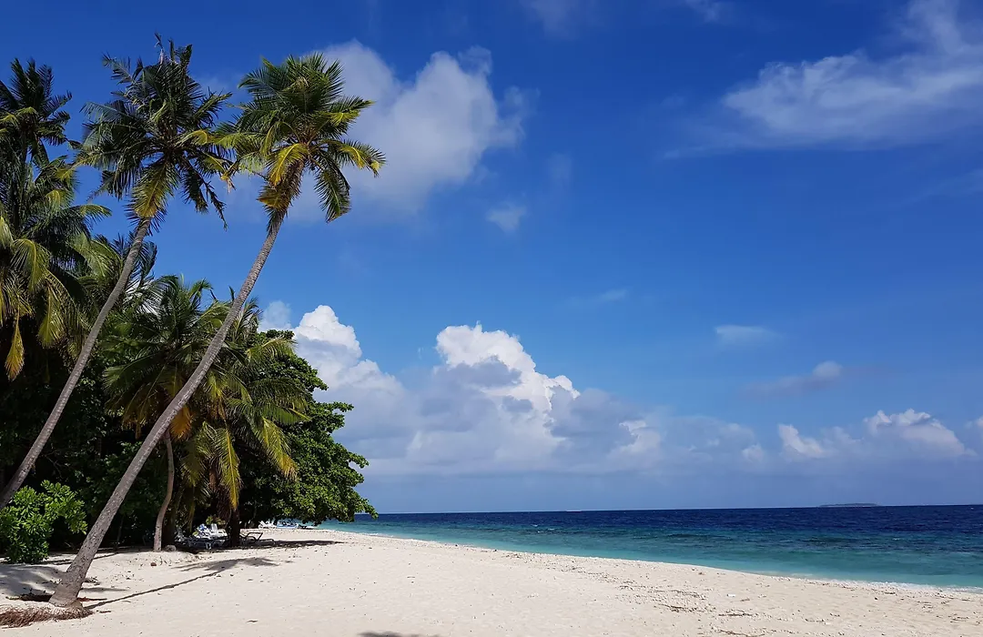 Blue World Dharavandhoo-1