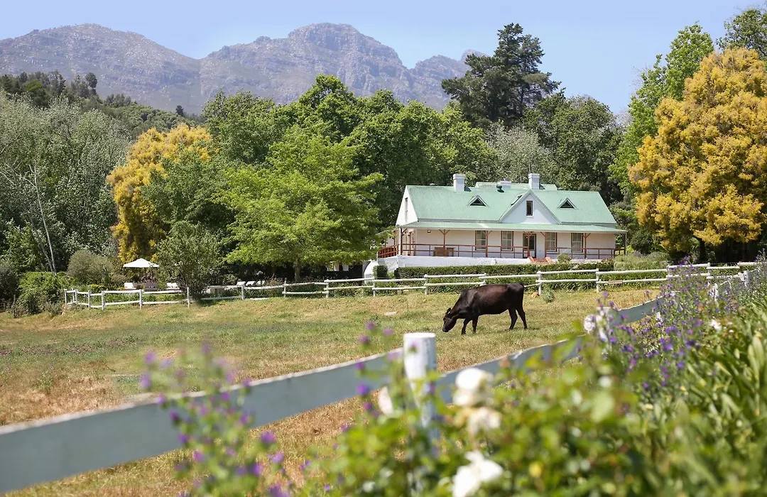 Knorhoek Country Guesthouse-1