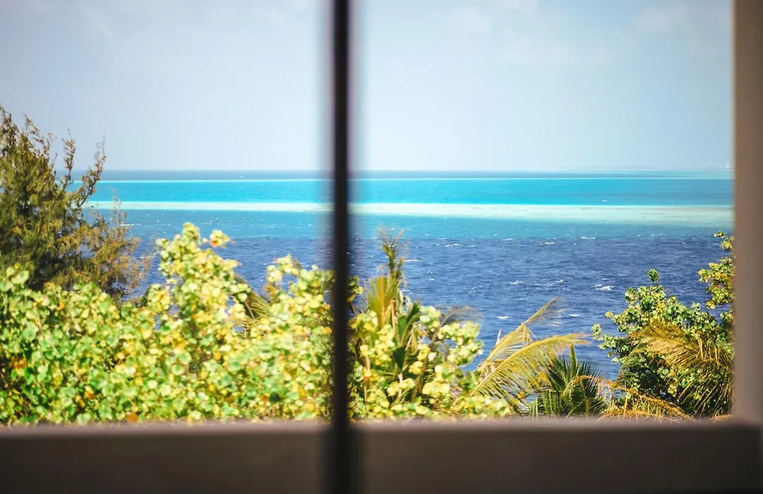 Season Paradise-1