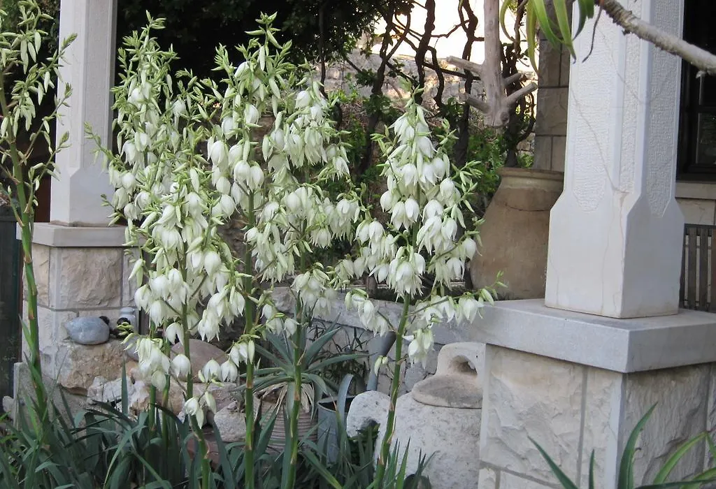 Guest House Maria Bilicic-1
