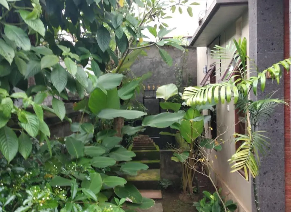 Utari House-1
