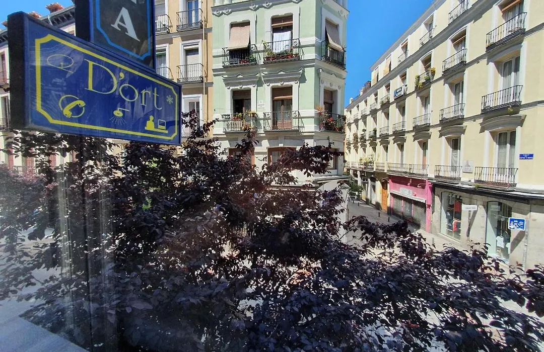Plaza Dort Rooms IV-1