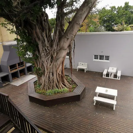 Dawson Manor Guest House-3