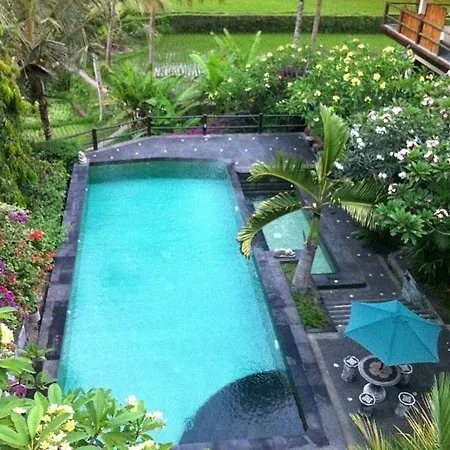Toko Toko Bungalows-3