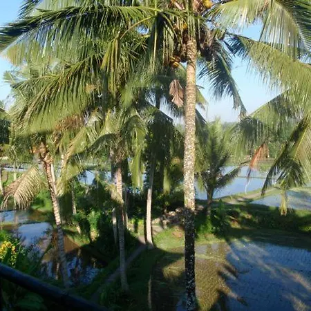 Toko Toko Bungalows-2