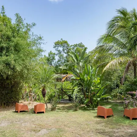 Vieques Tropical Guest House-3