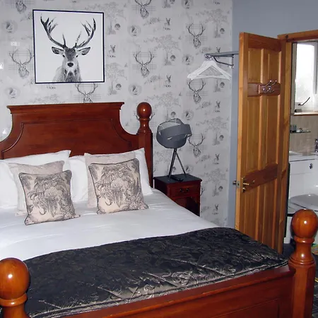 Fairfield Townhouse Guest House-3