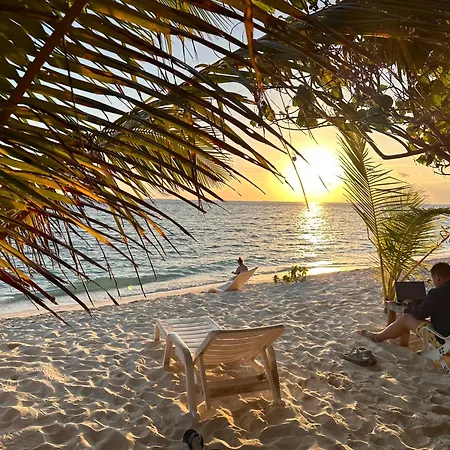 Beach Veli-2