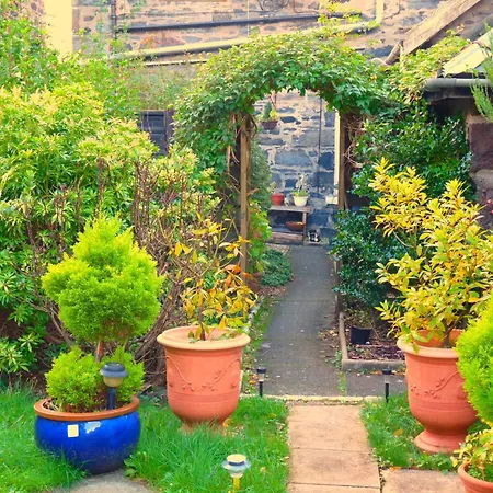 Arbour Guest House-3