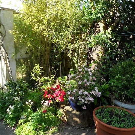 Galway Guest House-2