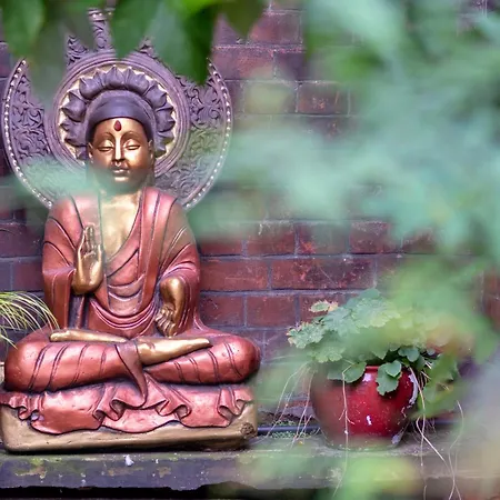 Lotus Guesthouse-2
