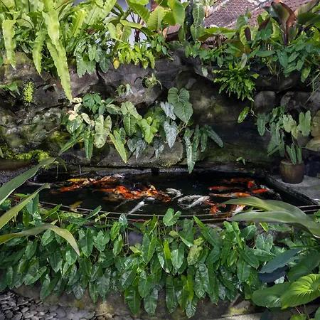 Cloudspace Ubud-2