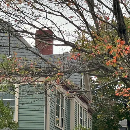 Harvard Rooms - 2Br Retreat Adjacent To University-3
