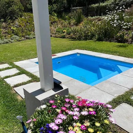 The Lily Suite-2