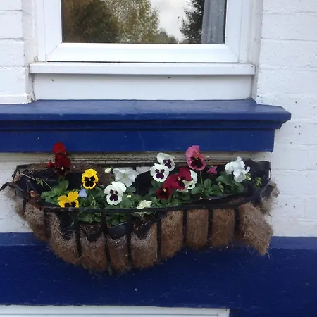 The Brandize Guest House-3