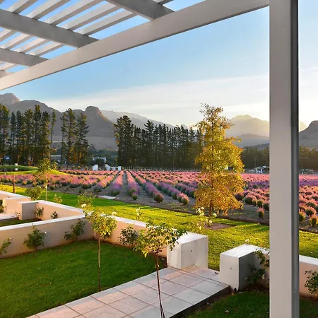 Lavender Farm Boutique Guest House-3