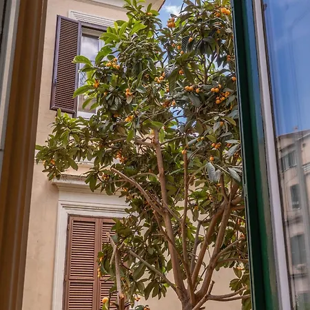 Imperia Suite-2
