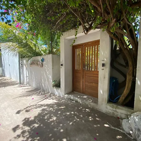 Arista Villa-3