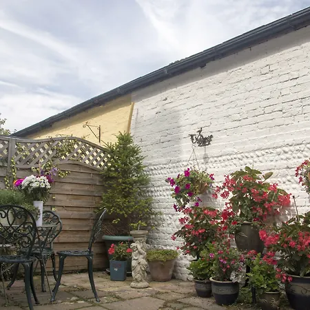 Albert & Victoria Guest House-2