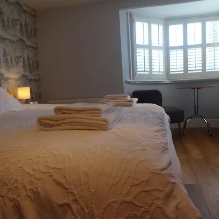 Aquarium Guest House-3