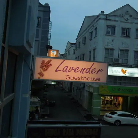 Lavender@Guesthouse-2