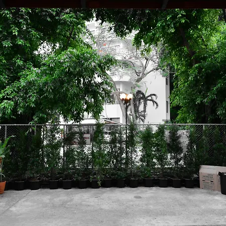Seedling House-3