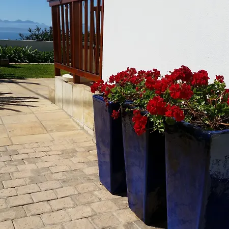 Aquamarine Guest House-3