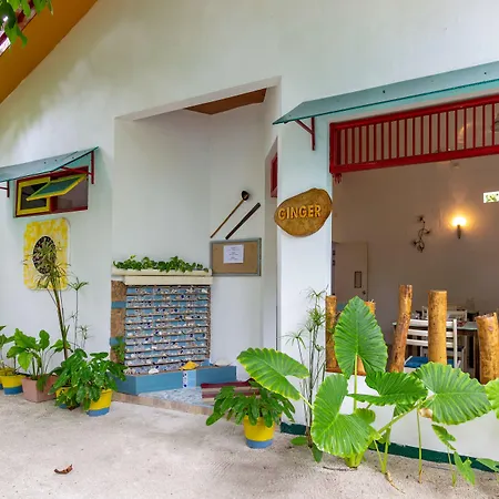 Dream Inn At Thulusdhoo-3