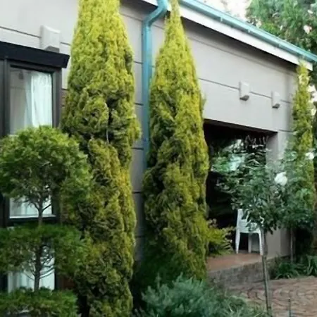 Primavera Guest House-3
