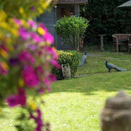 Marlborough House - Guest House-2