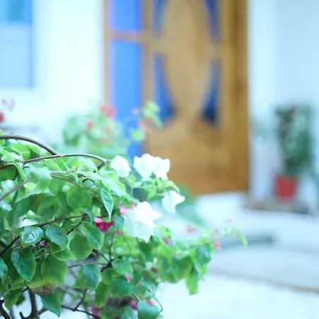 Moodhu Surf House-3