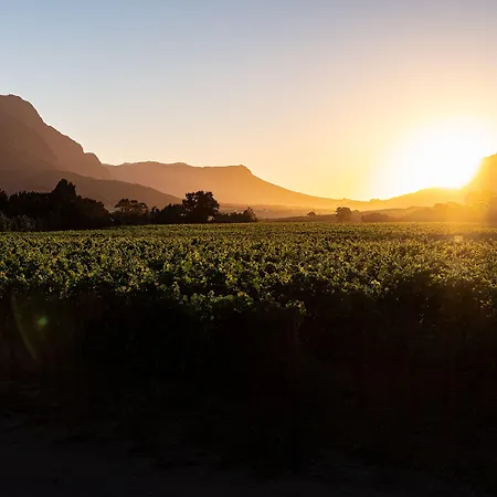 Lynx Wine Estate-3