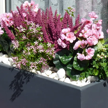 Apollo Guest House-3